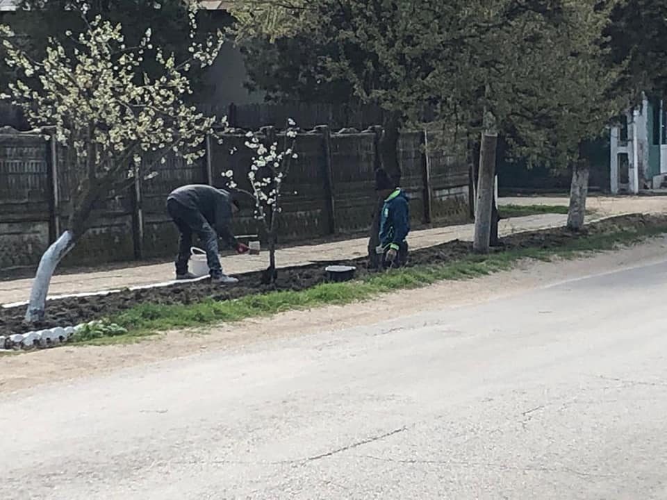 Cervenia – curatenie de primavara